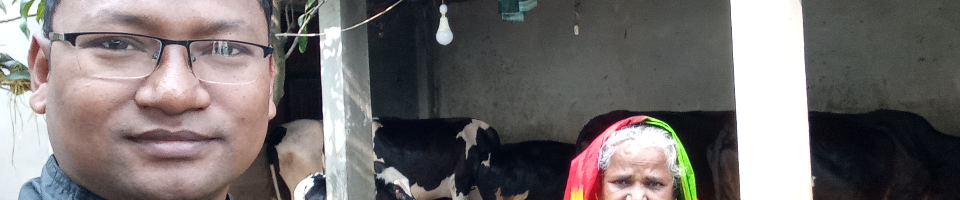 উন্নত জাতের গাভী পালন প্রকল্প