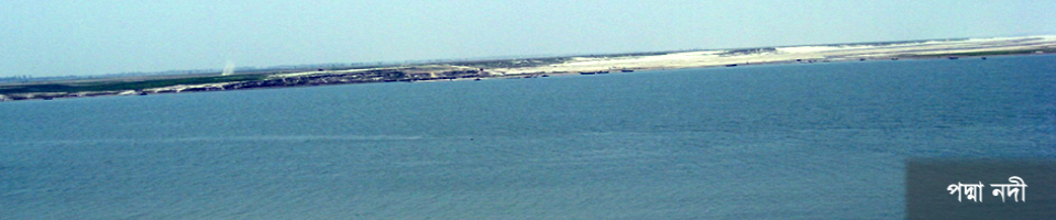 পদ্মা নদী