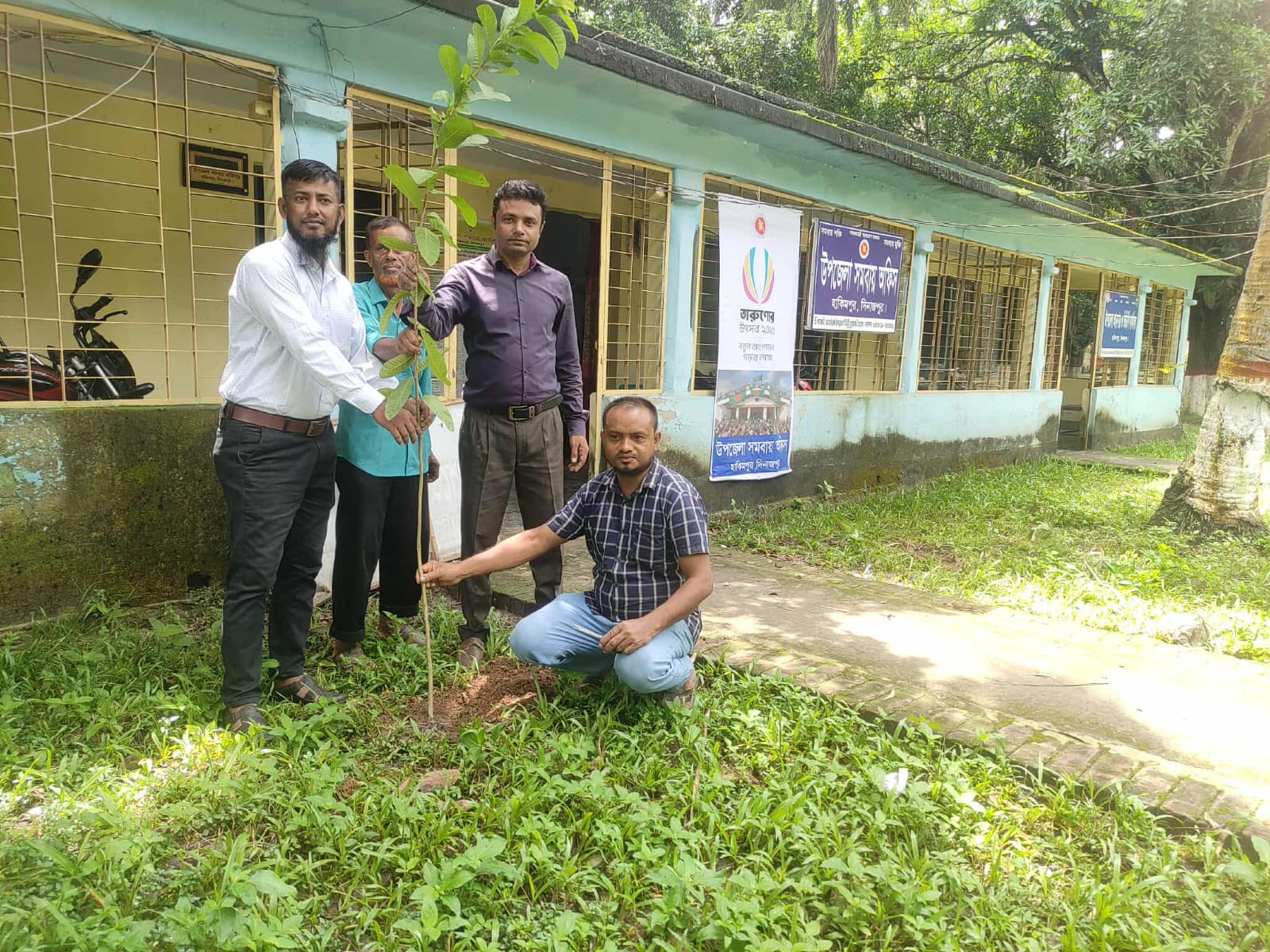 সমবায় অফিস সম্মুখে বৃক্ষ রোপন