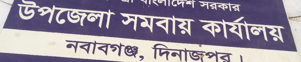 মো: নাছিমুল হক