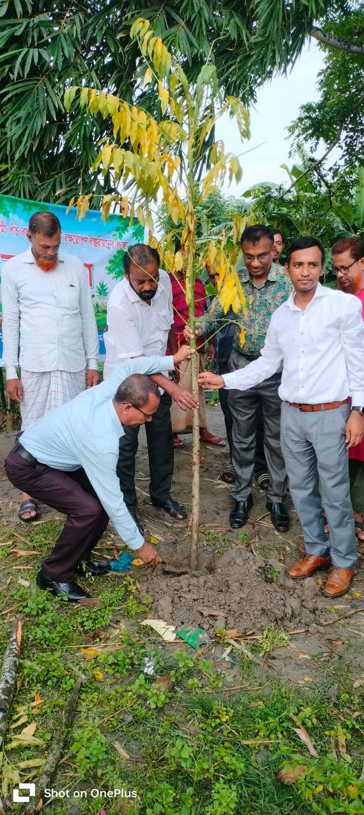 জেলা সমবায় অফিসার, পিরোজপুর, উপজেলা নির্বাহী অফিসার, পিরোজপুর সদর, উপজেলা সমবায় অফিসার, পিরোজপুর সদর উপজেলায় সমবায়ীদের সাথে নিয়ে বৃক্ষ রোপন এর স্থির চিত্র।