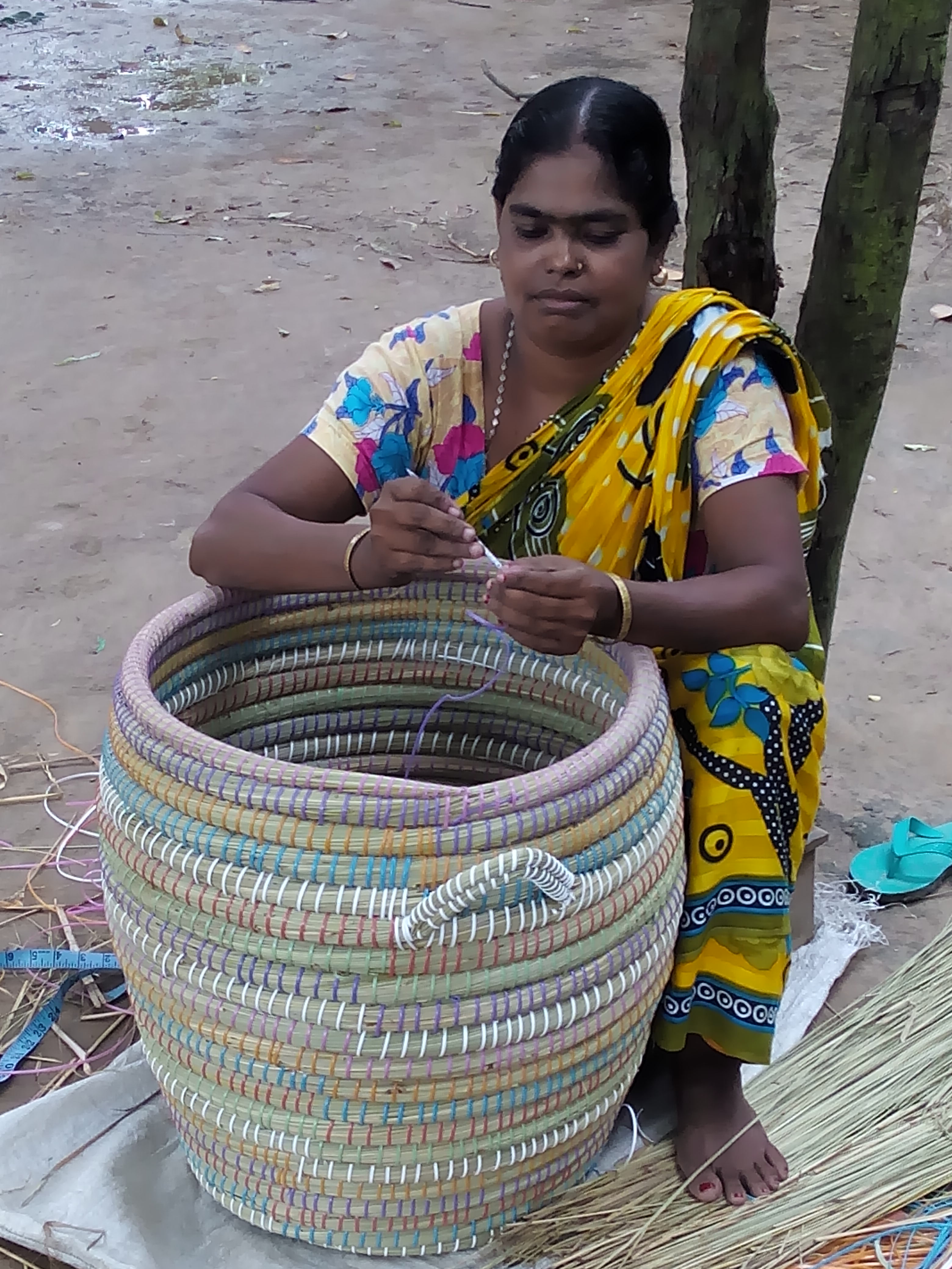 ই-সেবা কেন্দ্র, জেলা প্রশাসন