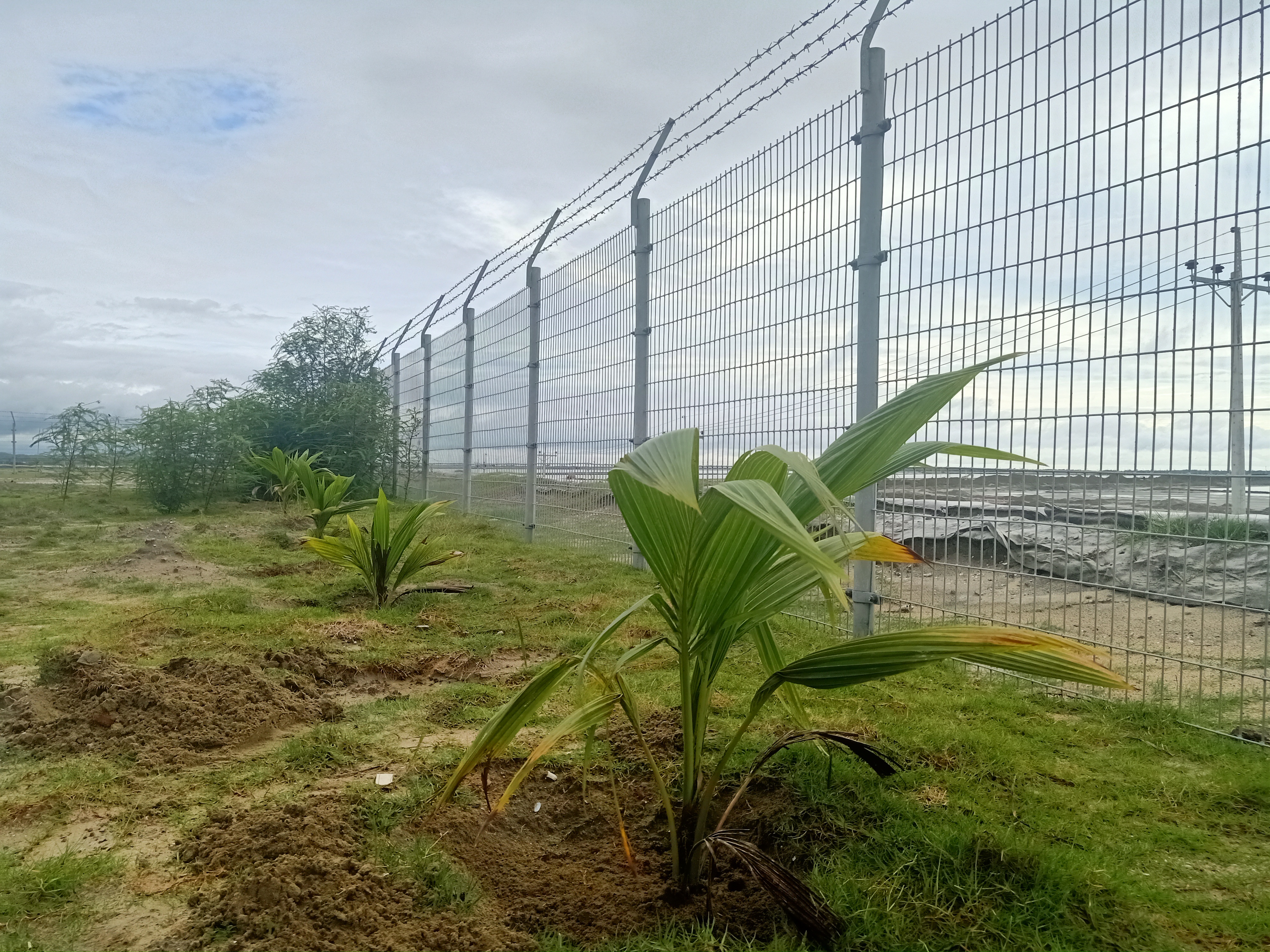 বৃক্ষরোপণ অভিযান, মাতারবাড়ী, কক্সবাজার