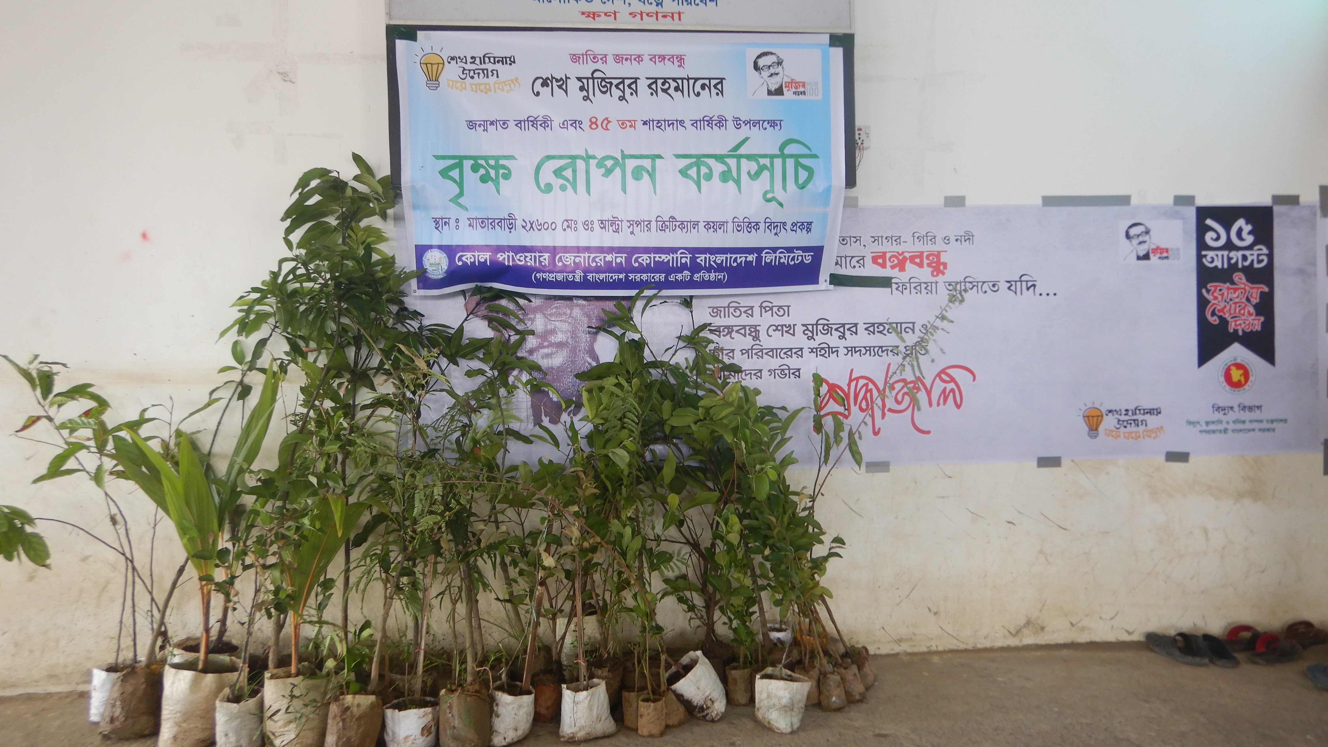 বৃক্ষরোপণ অভিযান, মাতারবাড়ী, কক্সবাজার