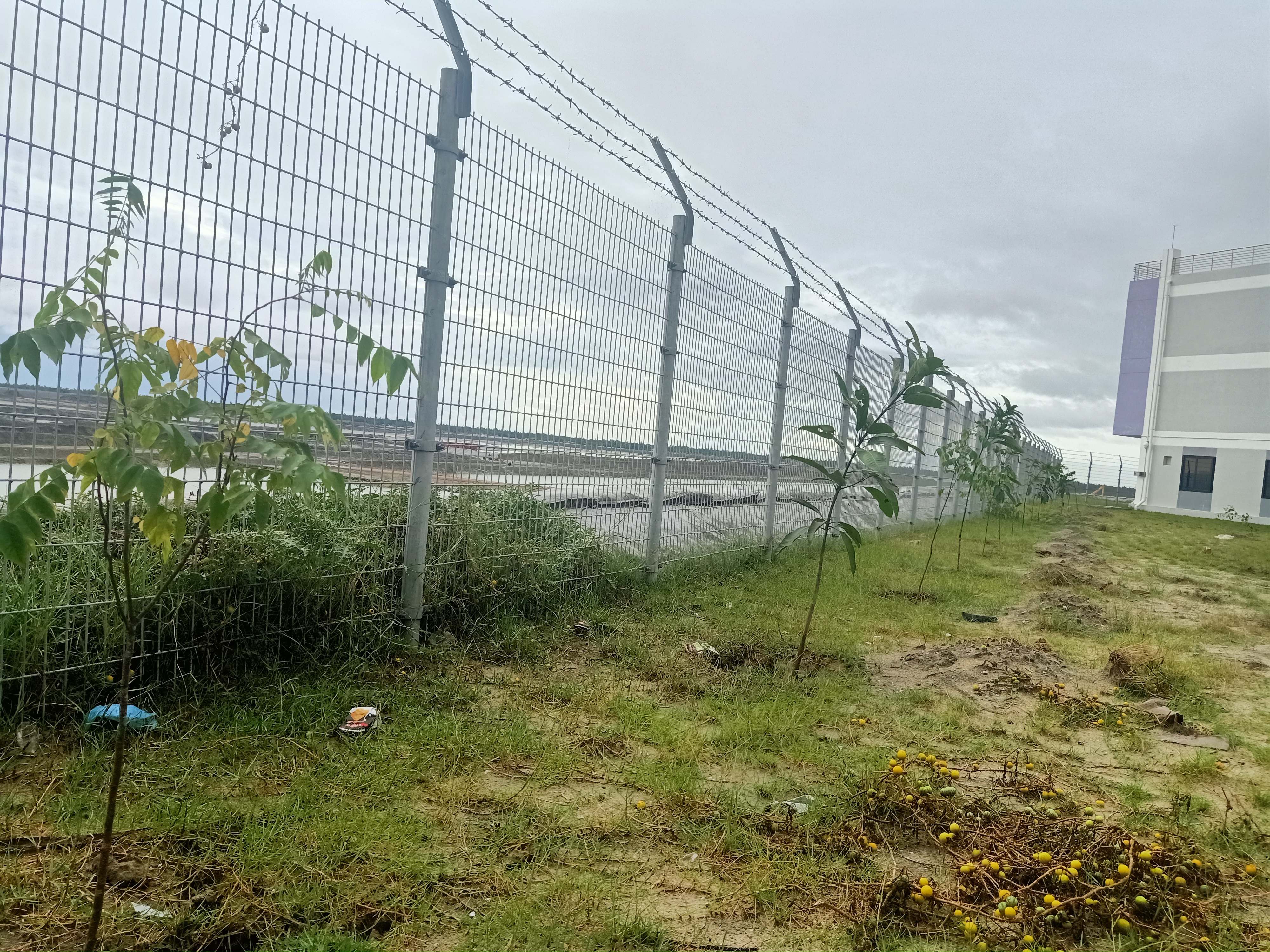 বৃক্ষরোপণ অভিযান, মাতারবাড়ী, কক্সবাজার