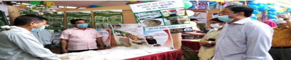 স্বাধীনতার সুবর্ণজয়ন্তী মেলায় অংশগ্রহন