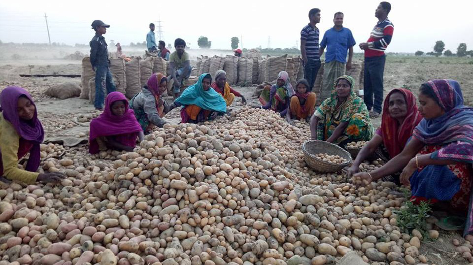 শ্রমিক ব্যবস্থাপনা