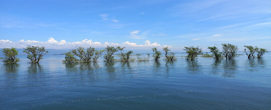 টাঙ্গুয়ার হাওর-2