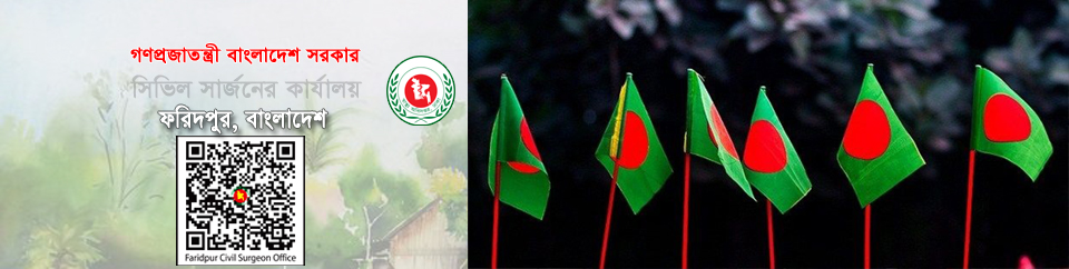 মহান বিজয় দিবস