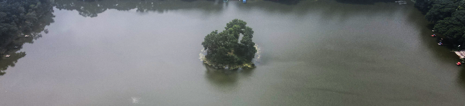 কাস্টমস,এক্সাইজ ও ভ্যাট বিভাগ,বরিশাল