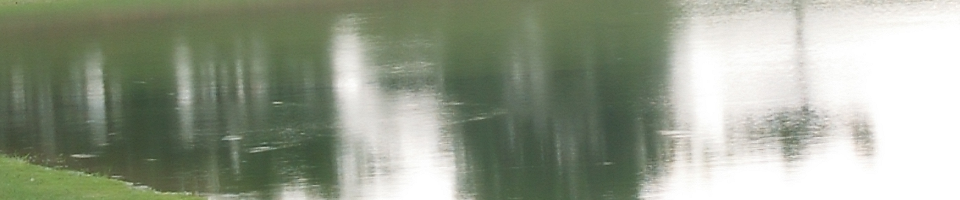 শুল্ক অফিস