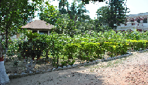 মূল ফটক