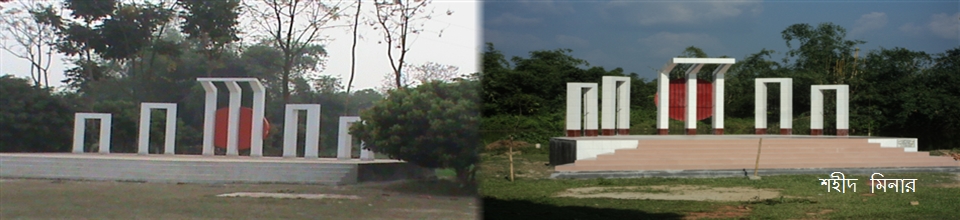 শহীদ মিনার