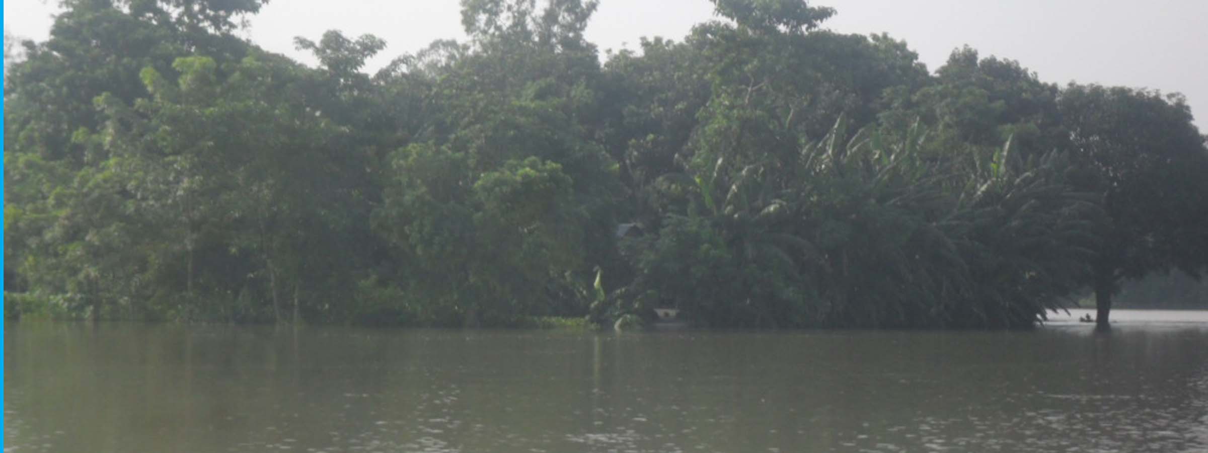 দাতভাঙ্গা ইউনিইয়ন পরিষদ