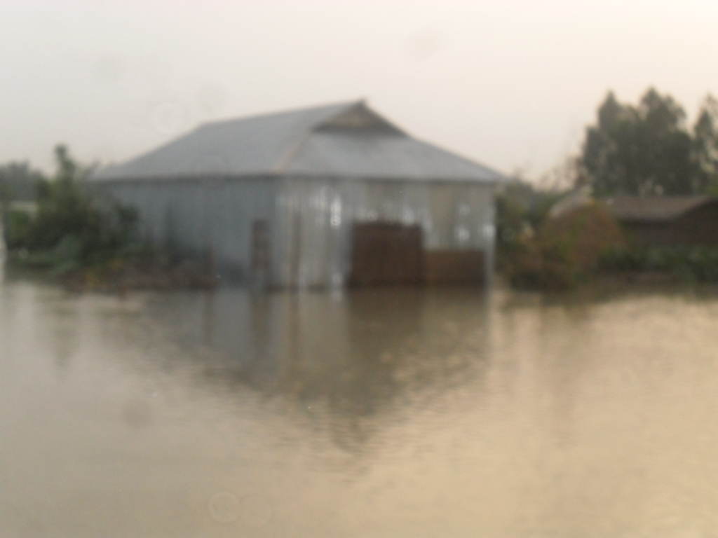 বন্যায় নিমজ্জিত বাড়ী