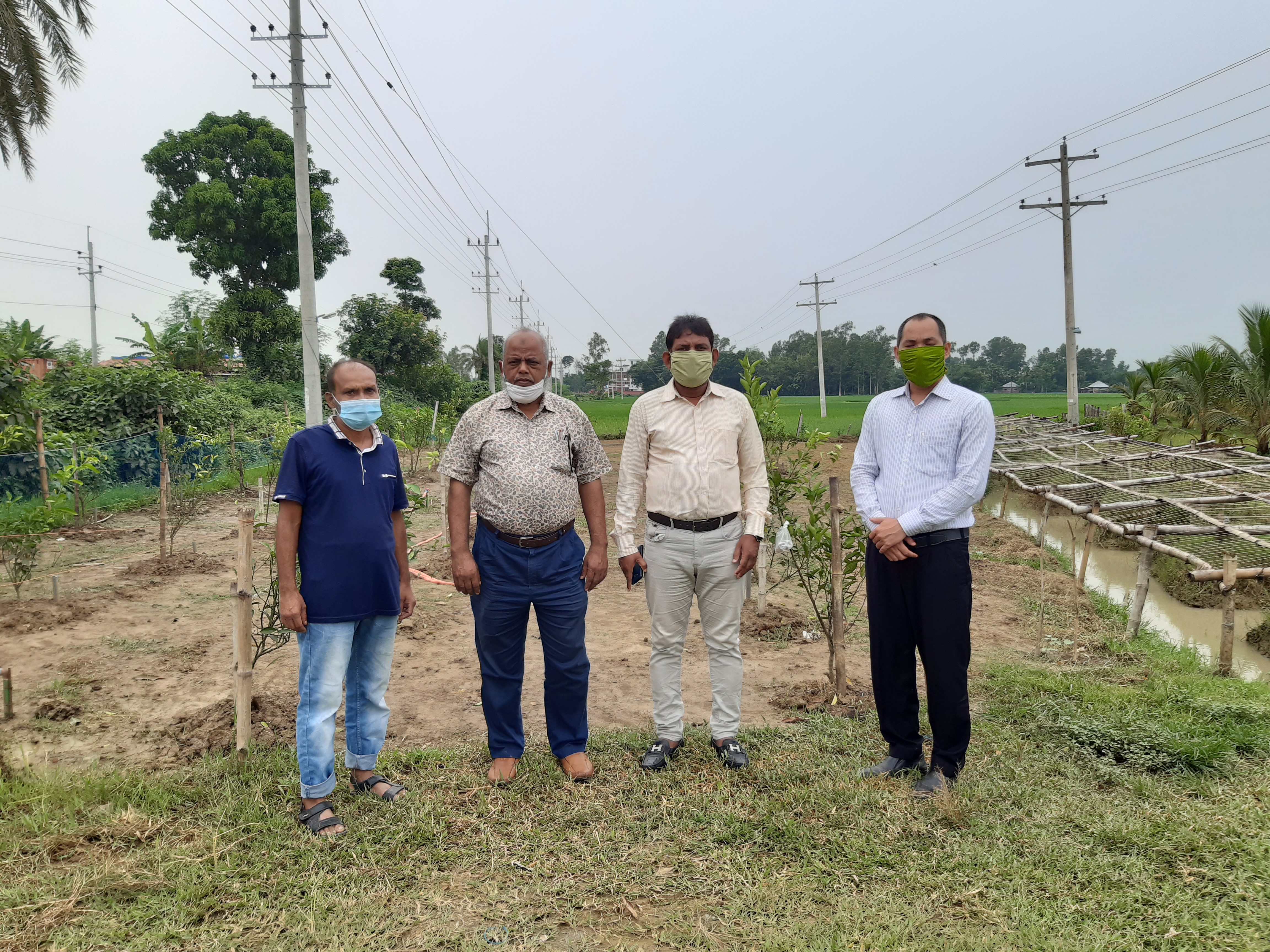 লেবু জাতীয় ফসলের সম্প্রসারণ, ব্যবস্থাপনা ও উৎপাদন বৃদ্ধি প্রকল্প