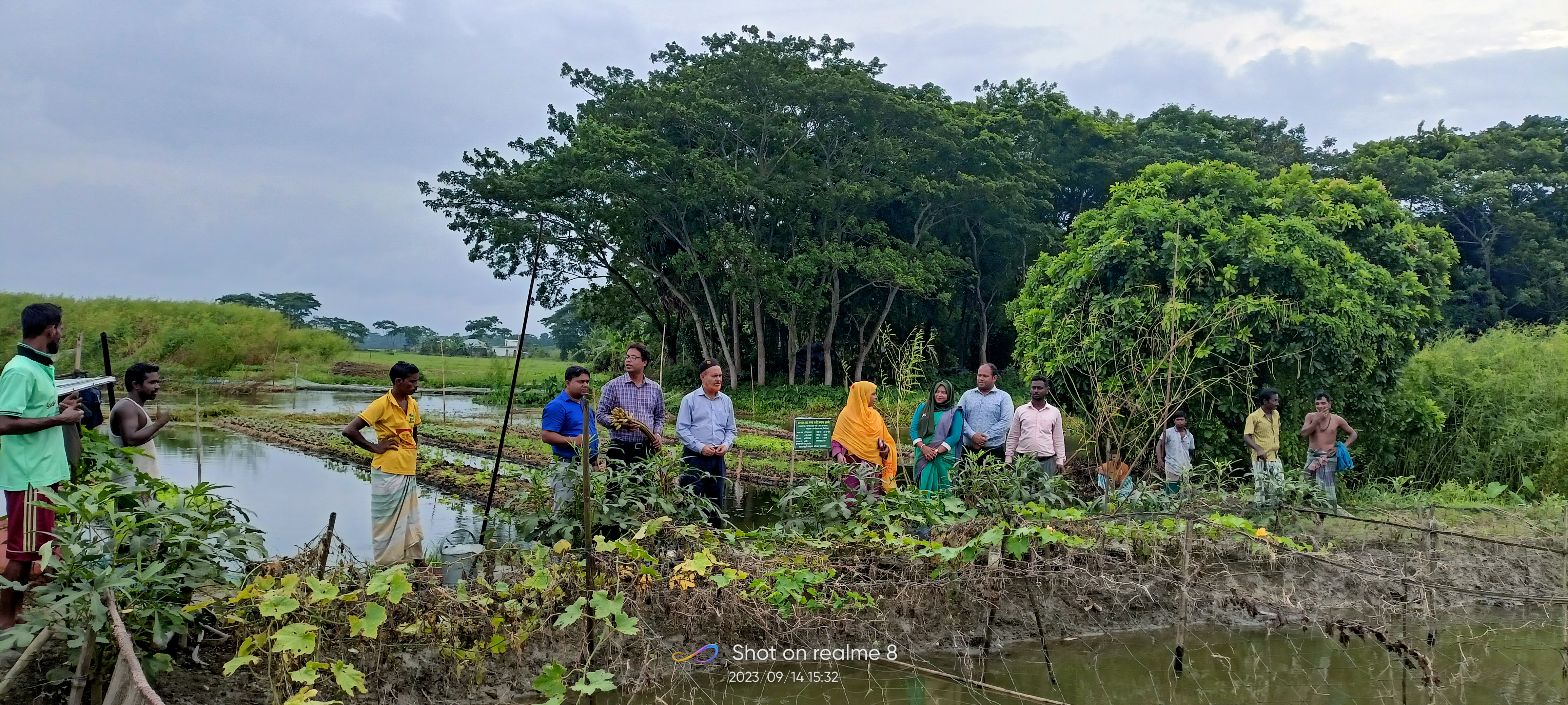ভাসমান বেডে সবজি ও মসলা চাষ
