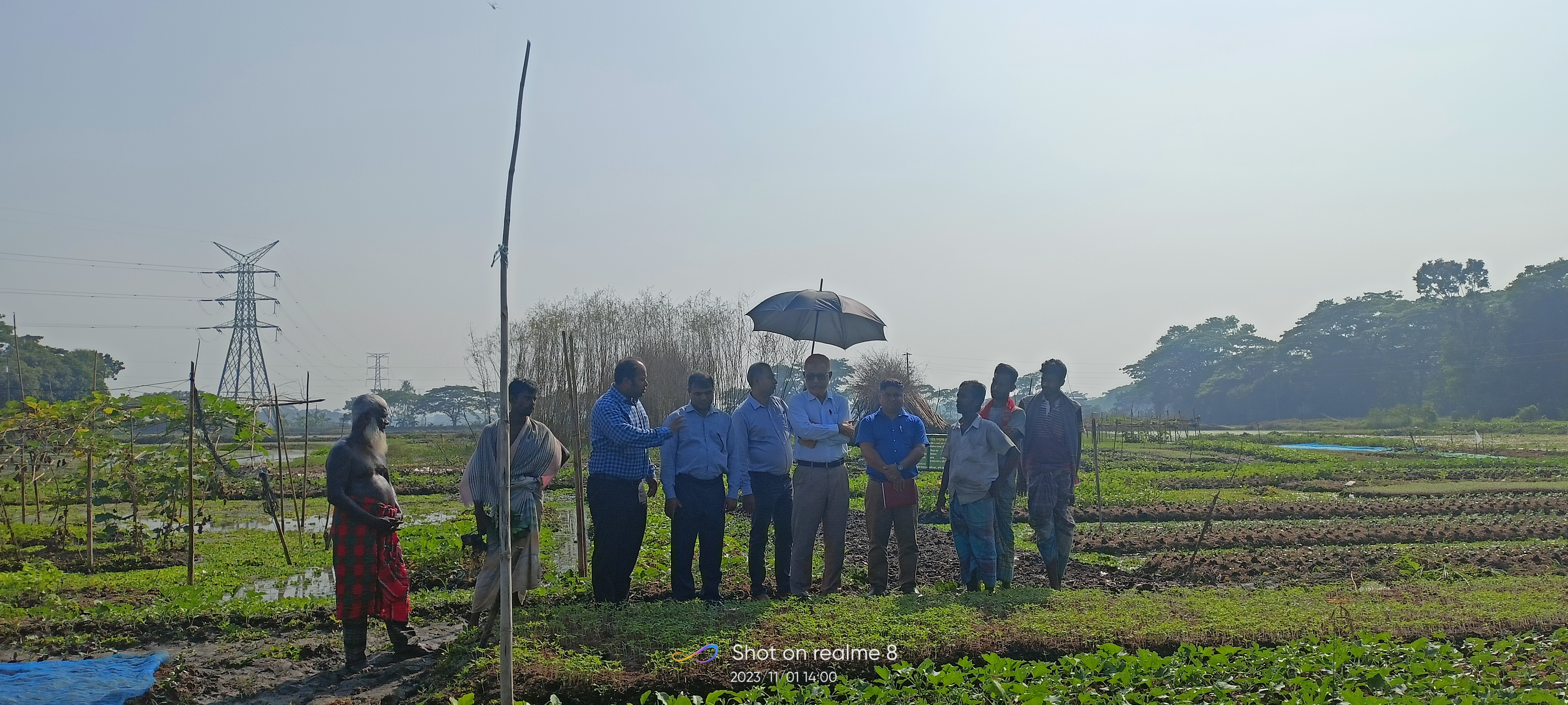 ভাসমান বেডে সবজি ও মসলা চাষ
