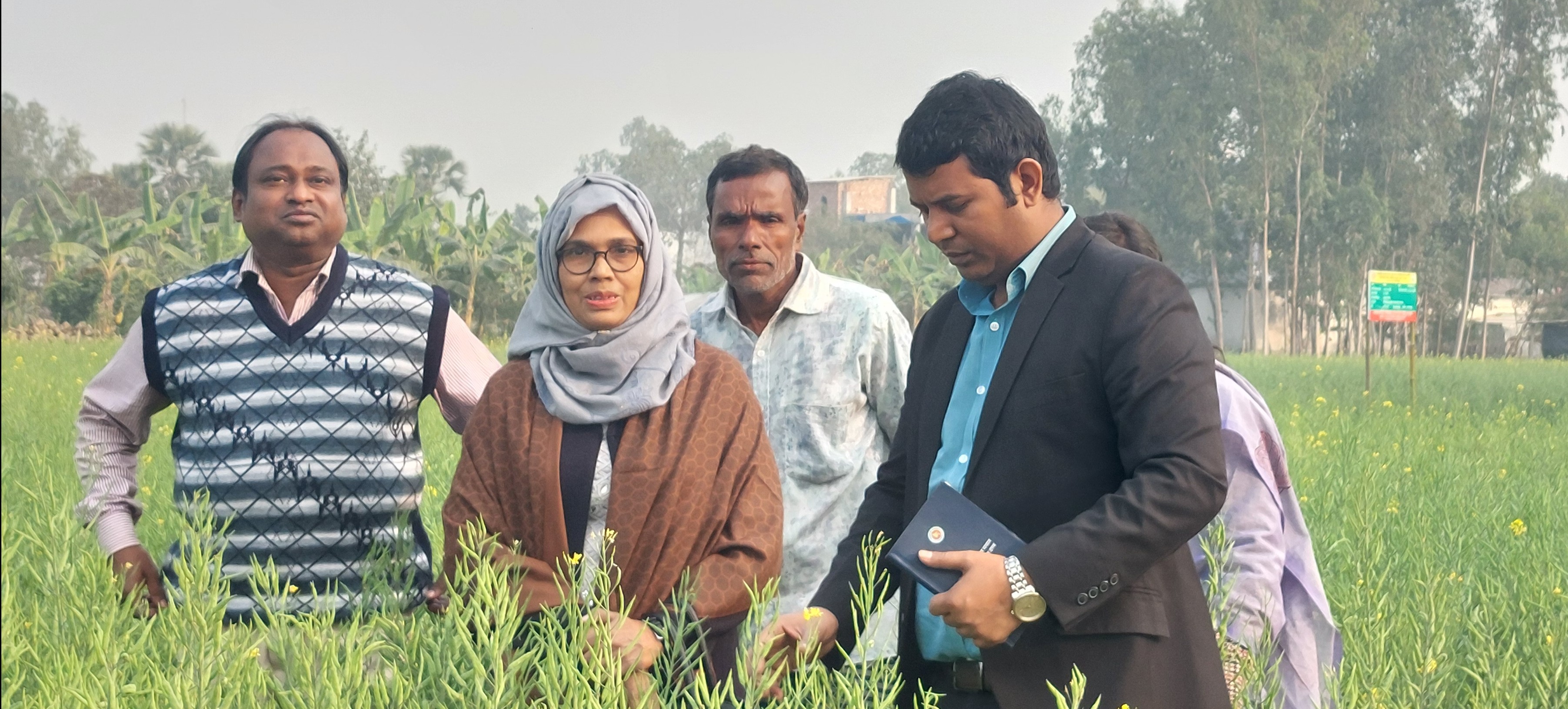 ব্যানার