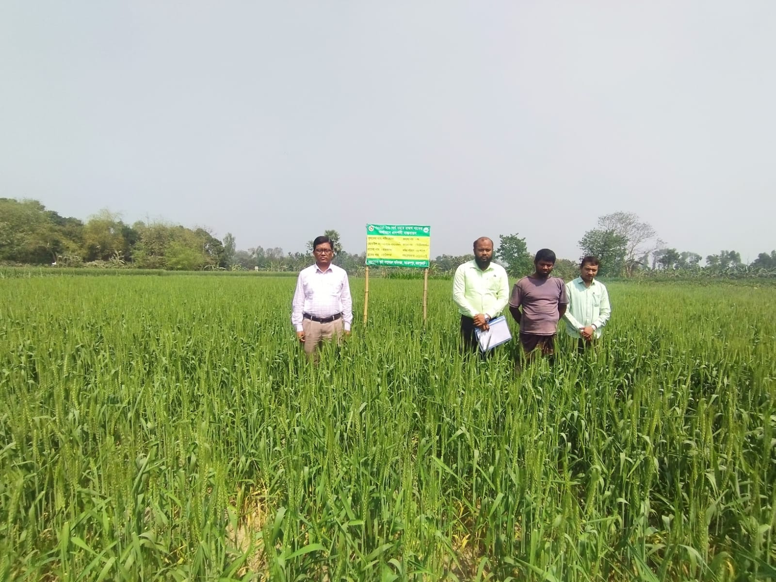 প্রদর্শনী