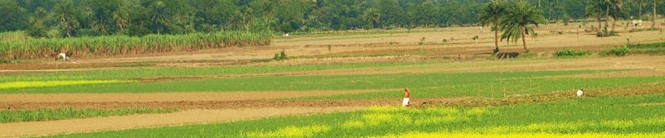 ব্যনার২