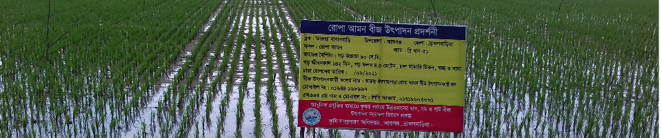 এসএমই প্রদর্শনী