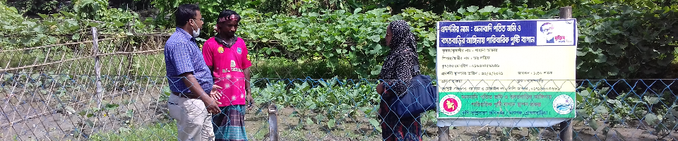 প্রদর্শনী