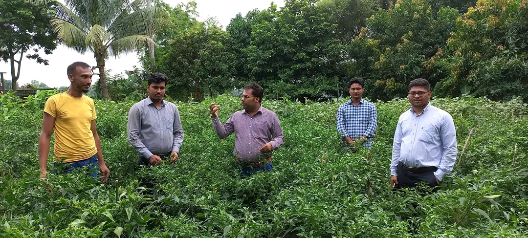 বর্তমান কৃষি বিষয়ক কার্যক্রম