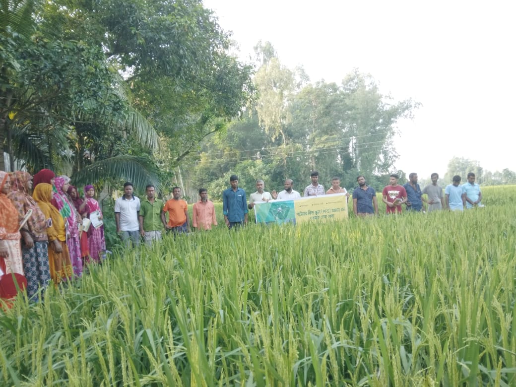 মাঠ পরিদর্শন