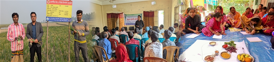 ব্যানার-১