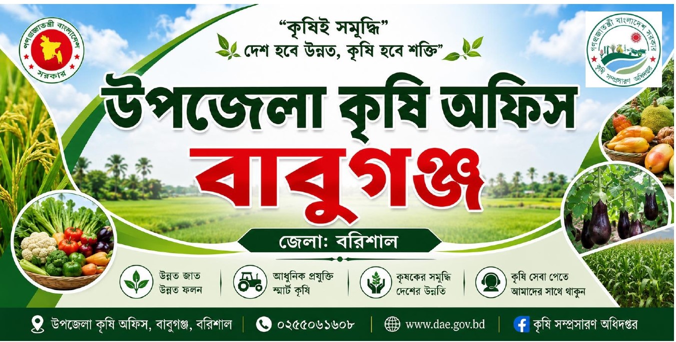 বাবুগঞ্জ, বরিশাল