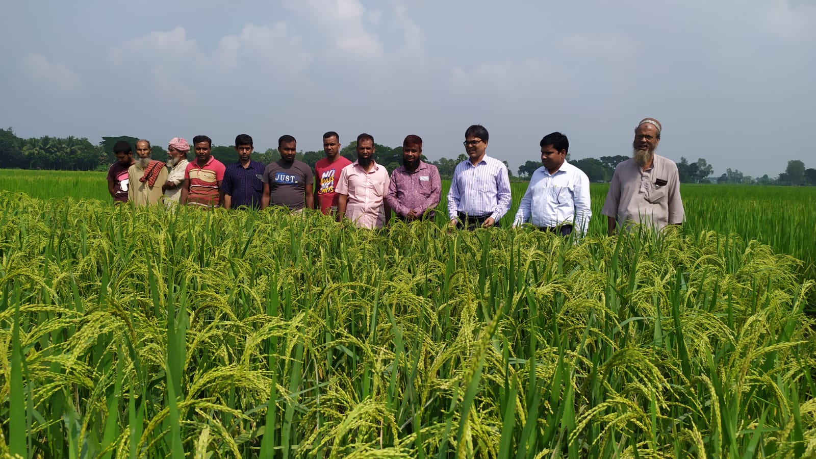 মাঠ পরিদর্শন