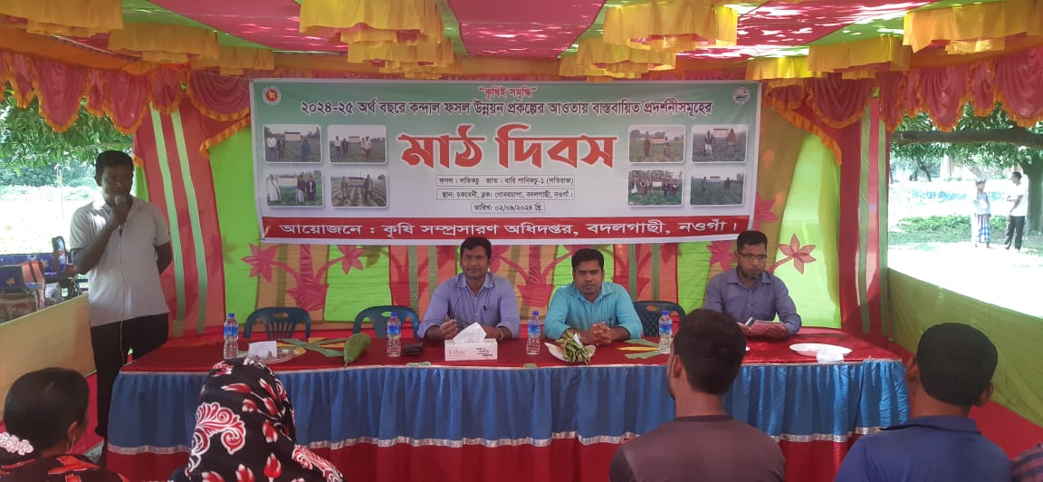 মাঠদিবস