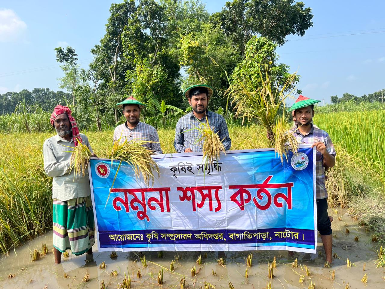 নমুনা শস্য কর্তন