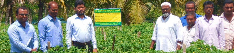 প্রদর্শনী প্লট পরিদর্শন