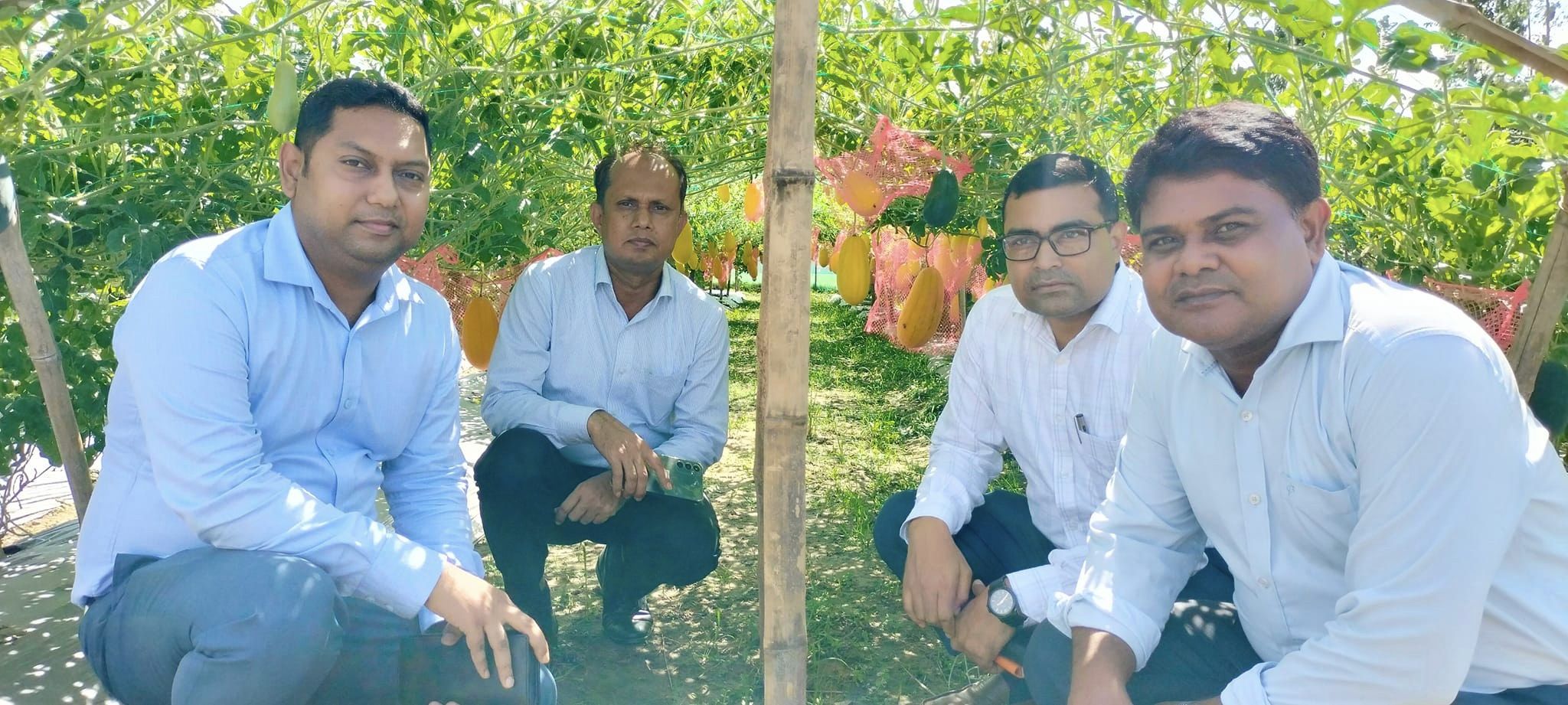 তরমুজের জমি পরিদর্শন