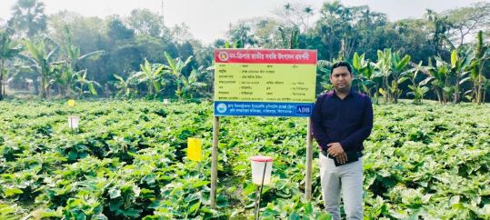 সবজির জমি পরিদর্শন