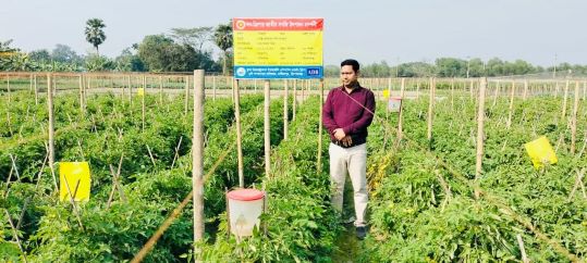 সবজির জমি পরিদর্শন