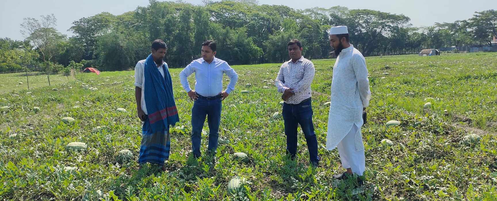 পরামর্শ প্রদান