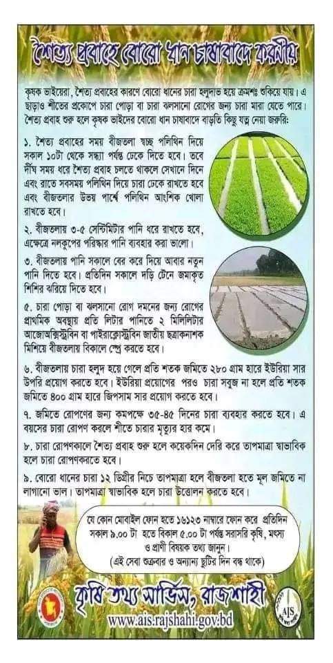 চলমান শৈত্য প্রবাহে কৃষক ভাইদের করণীয়