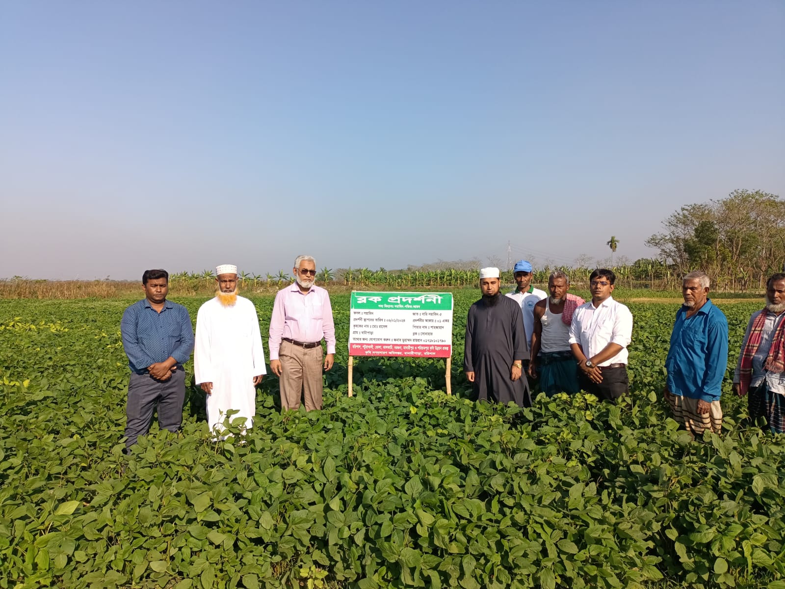 মাঠ পরিদর্শন