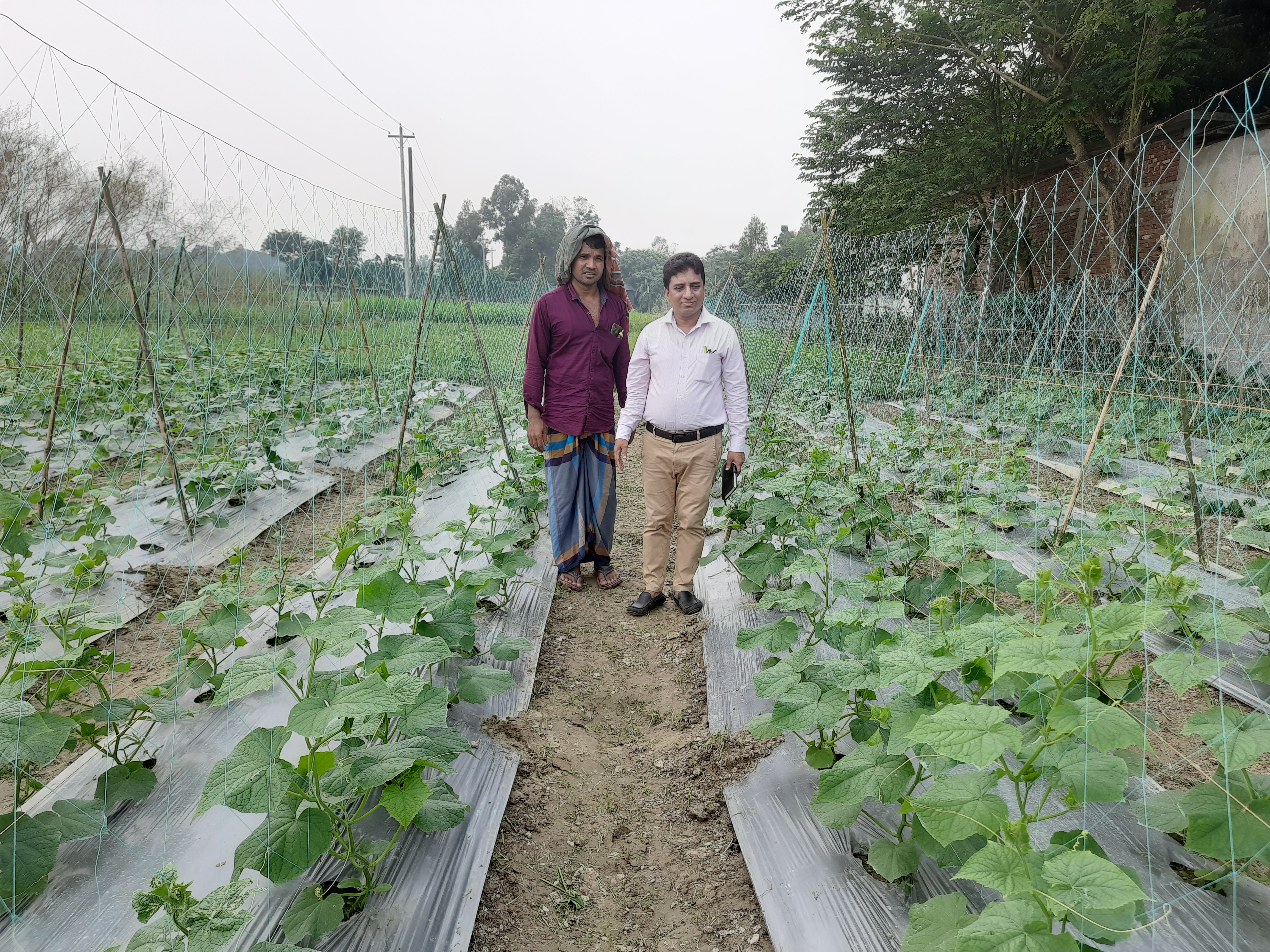 অাধু‌নিক কৃ‌িষ প্রযু‌ক্তি