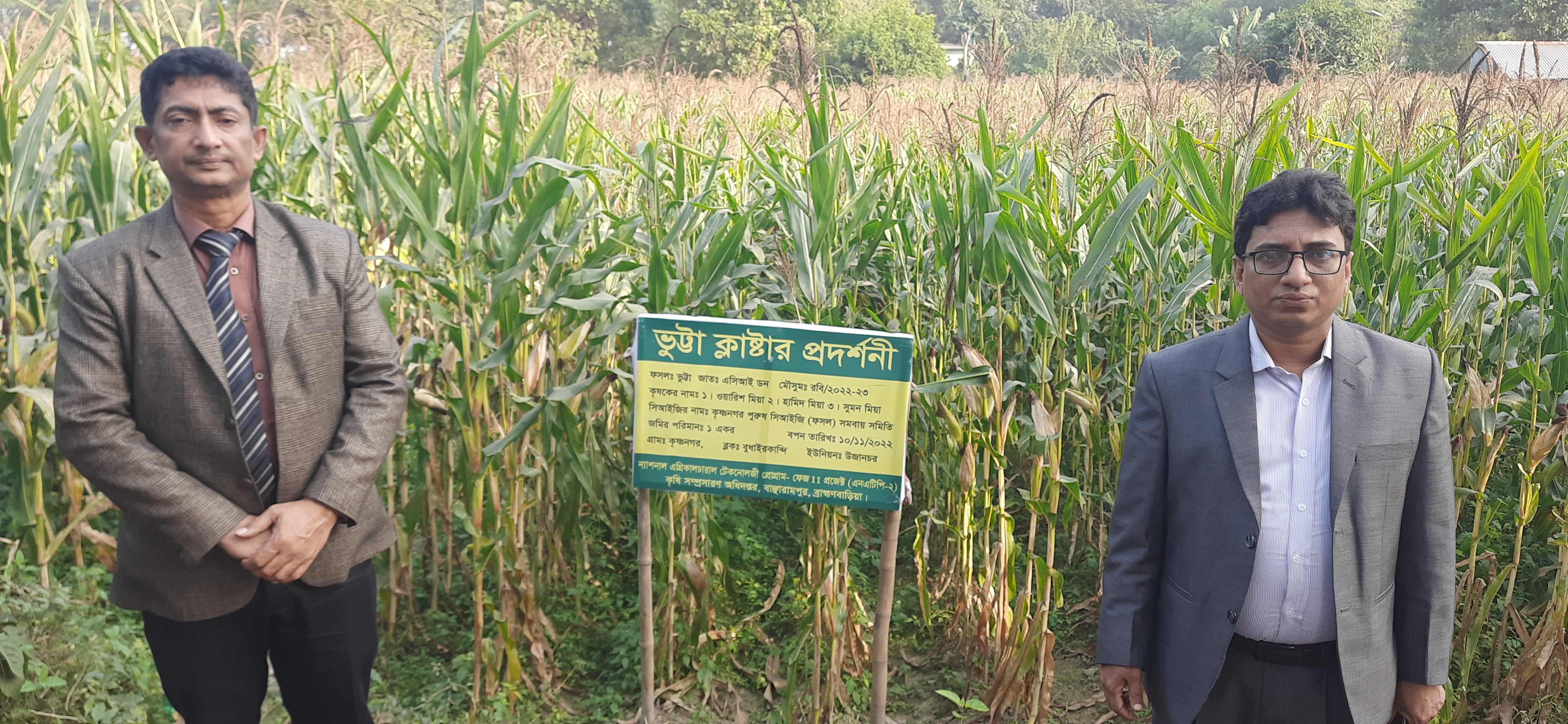 প্রদর্শণী স্থাপন