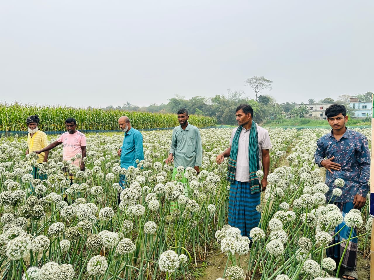 বি-স্ট্রং প্রকল্প