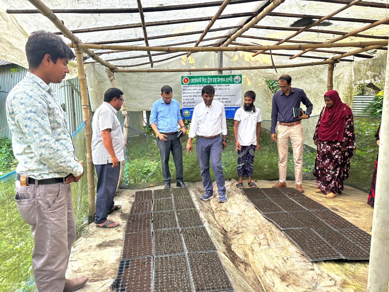 কোকোডাস্ট দিয়ে ট্রেতে চারা উৎপাদন প্রদর্শণী