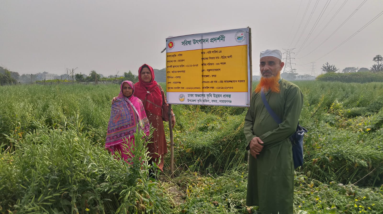 সরিষা
