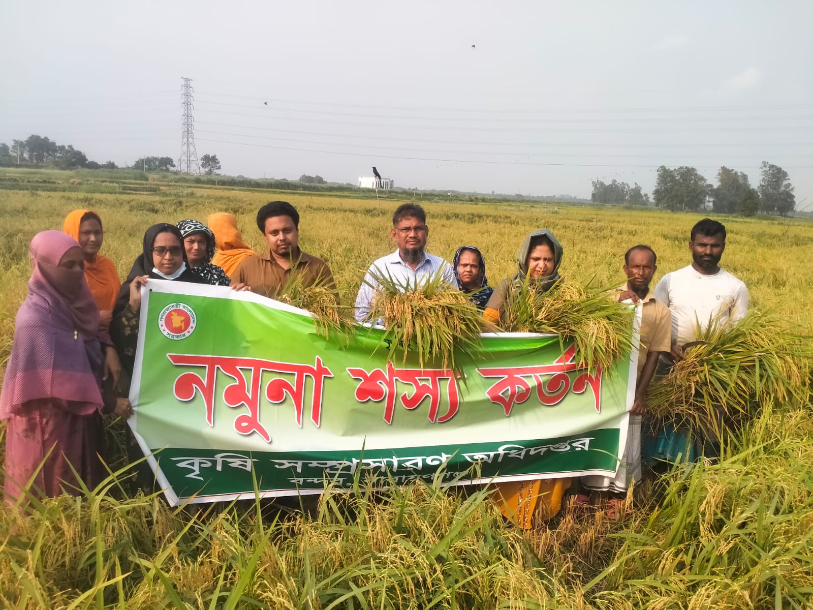 ধান কর্তন