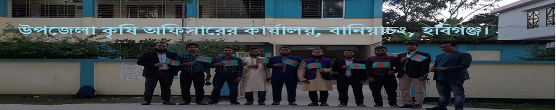অফিসার এবং কর্মকর্তা/কর্মচারী