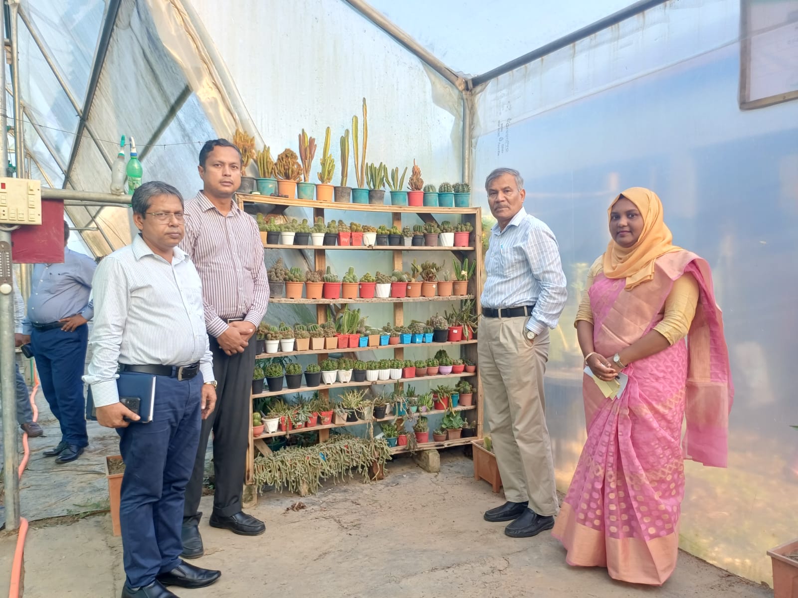 বৃহত্তর ময়মনসিংহ অঞ্চলের ফসলের নিবিড়তা বৃদ্ধিকরণ প্রকল্প