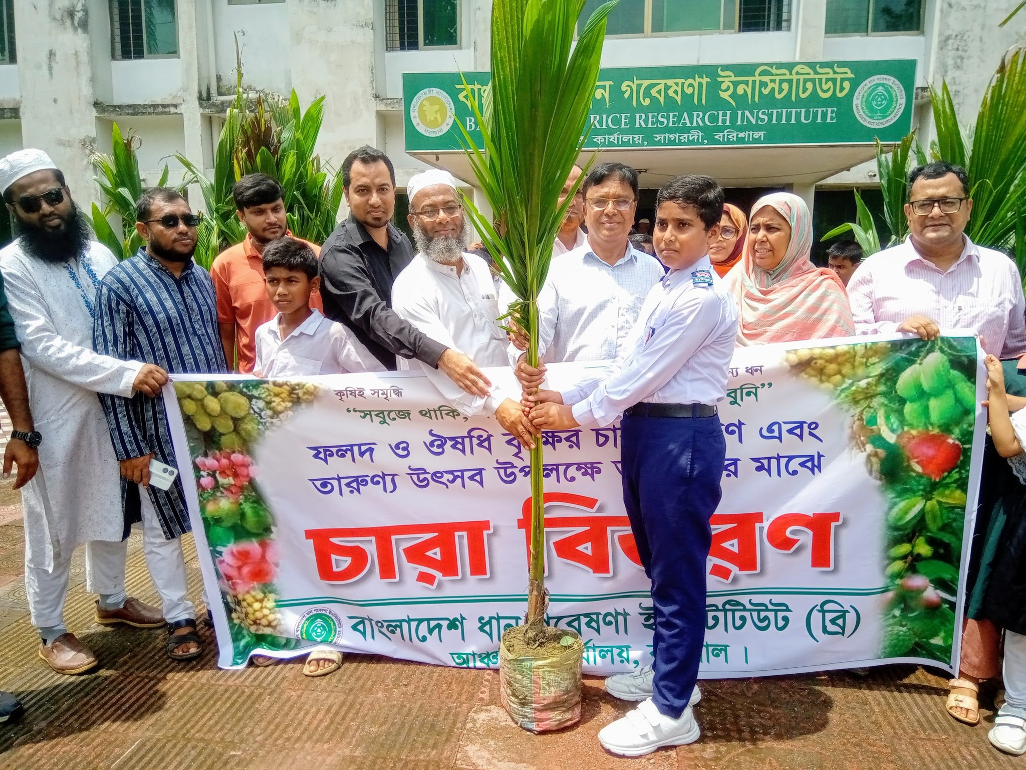 চারা বিতরণ